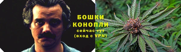 мет Пестово