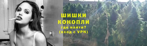 амф Пересвет