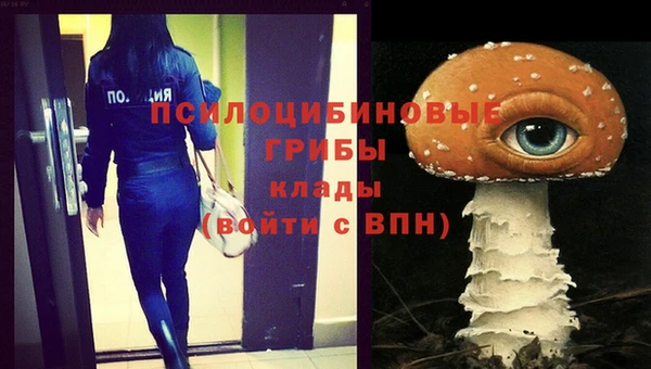 мет Пестово