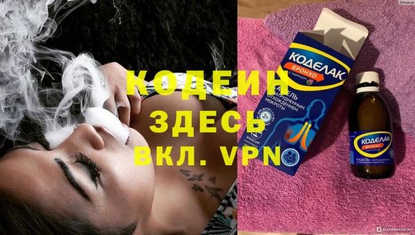 амф Пересвет