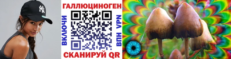 магазин продажи   Кропоткин  Псилоцибиновые грибы Magic Shrooms 