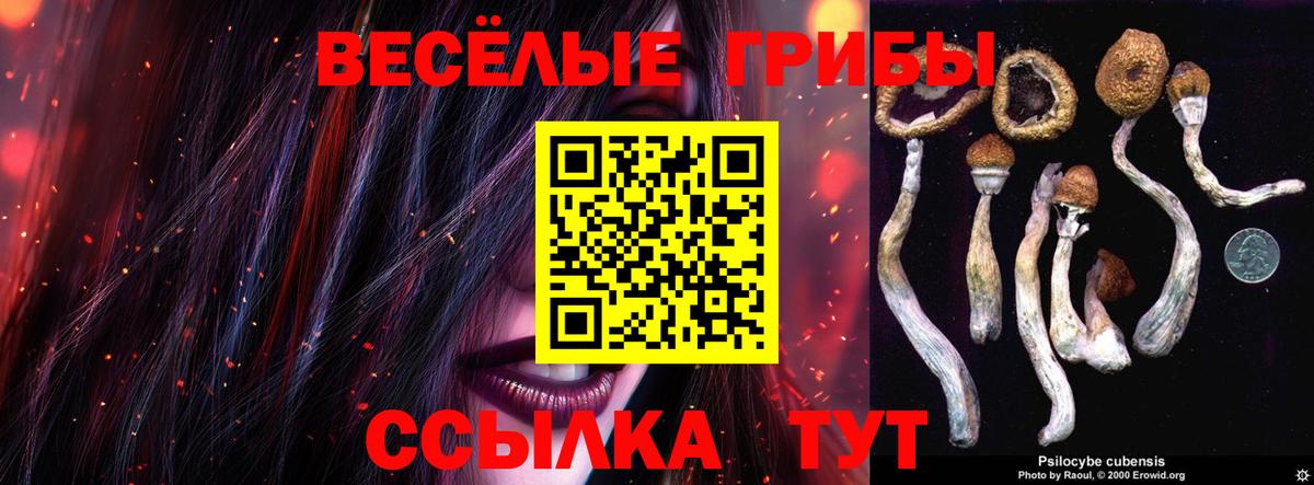 Галлюциногенные грибы MAGIC MUSHROOMS Кропоткин